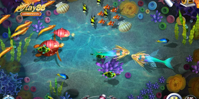 Định hướng bí quyết săn thưởng hiệu quả và chuẩn xác