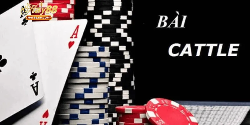 Các bí quyết từ cao thủ giúp chơi bài Catte 6 lá hiệu quả