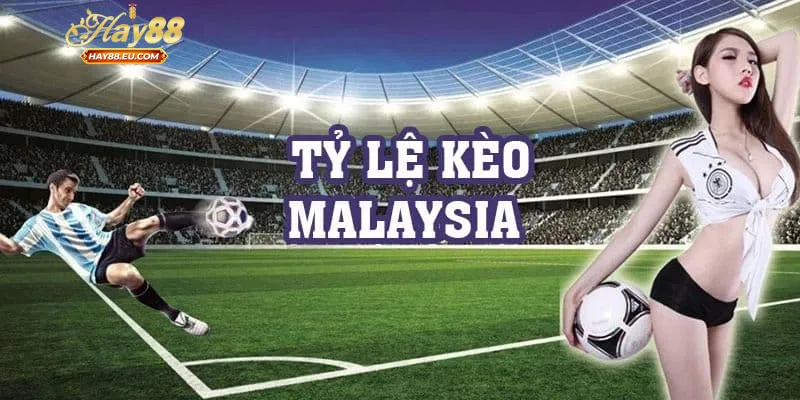 Cách để đọc chuẩn tỷ lệ kèo Malaysia là gì?