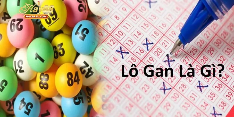 Lô gan Miền Bắc là gì?