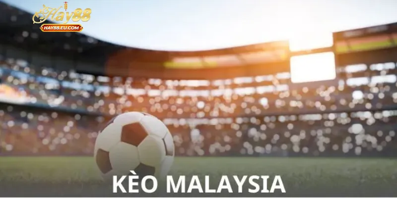 Mẹo áp dụng tỷ lệ kèo Malaysia là gì để hiệu quả nhất